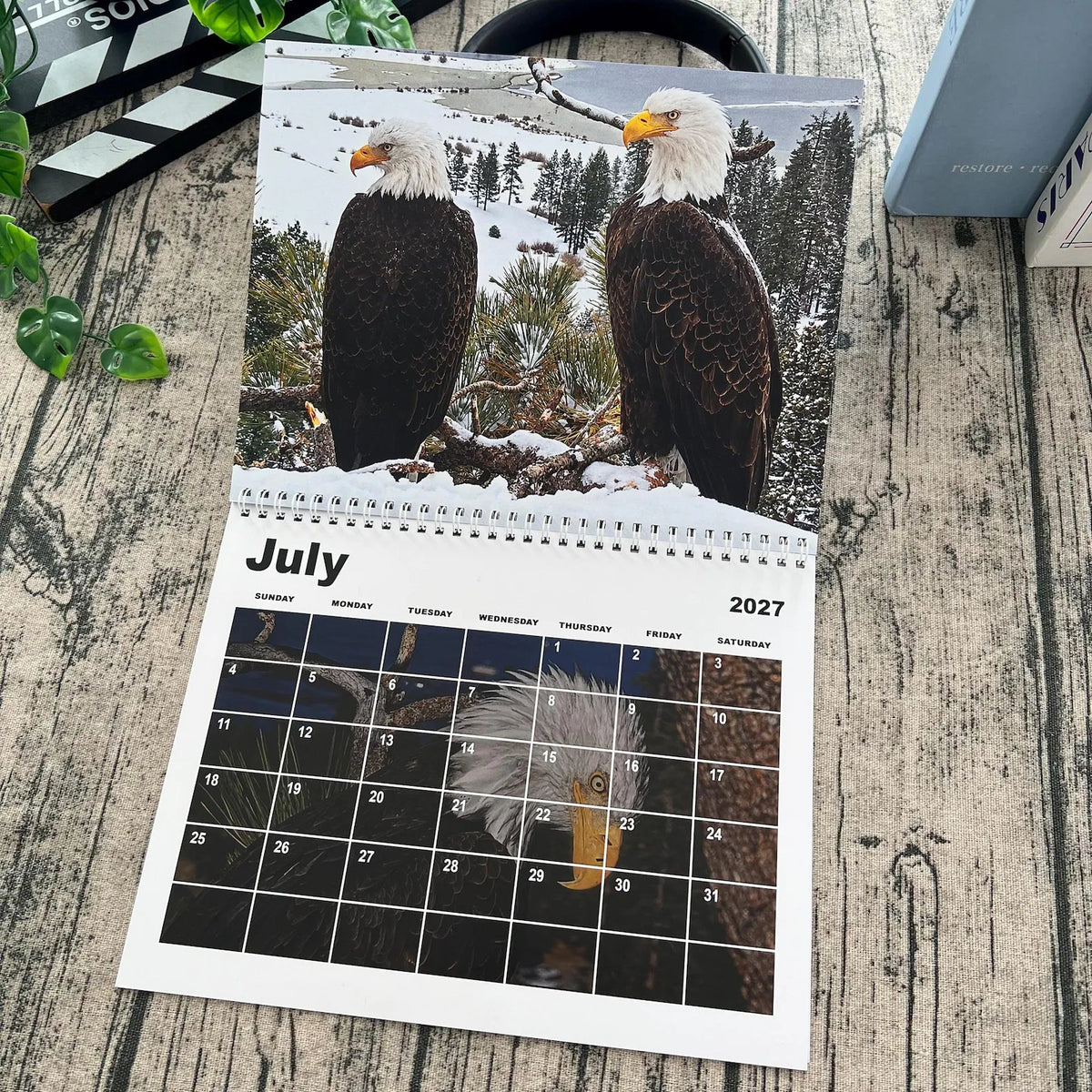2027 Jackie & Shadow Soaring Eagles Wall Calendar 🦅 Stunning Wildlife Photography, 1-Count