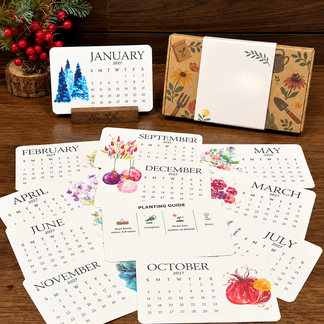 Timeless seed calendar cards and illustrated packaging
