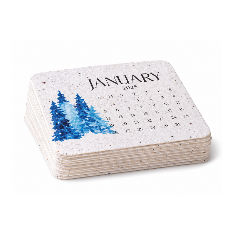 ✨Early Holiday Sale 49% OFF🌱Eco-Friendly Plantable “Timeless” Seed Calendar 2027