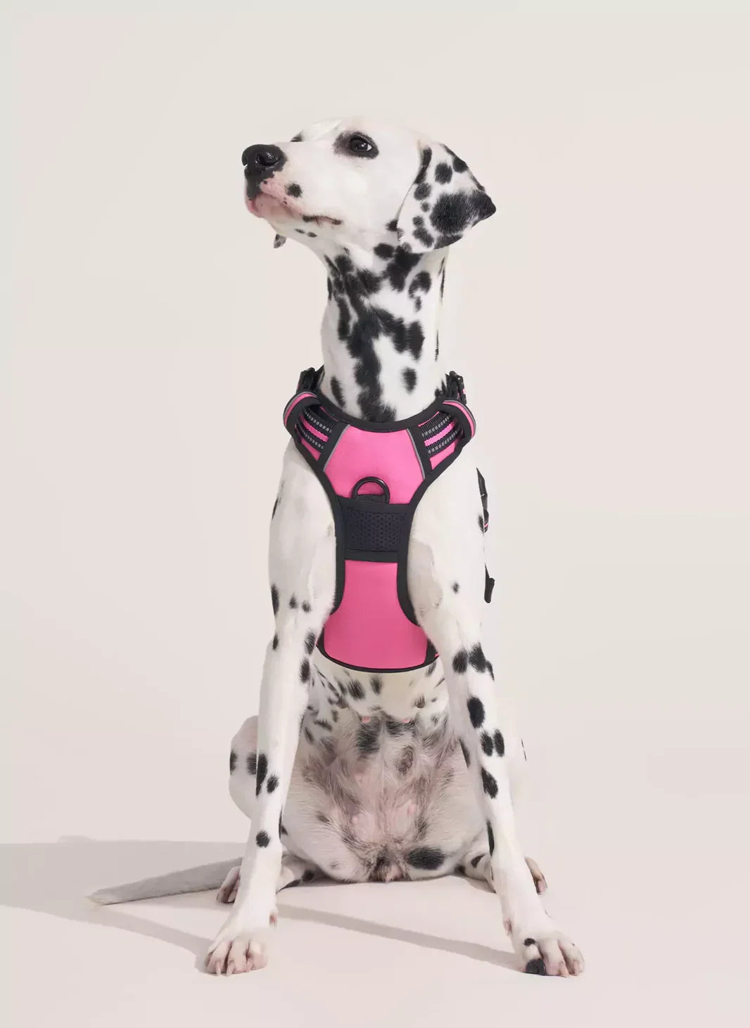 🐾 Vest-Style Pet Harness & Leash Set – Comfortable Everyday Walks