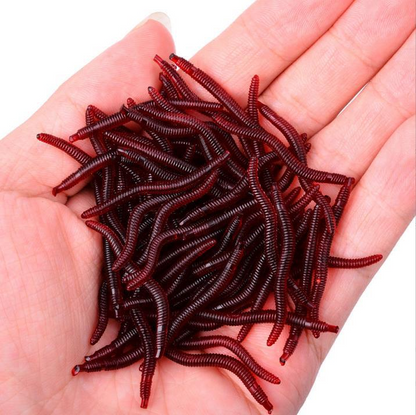 🎣 Shrimp-Scented Soft Worm Fishing Lures – Realistic Baits for Freshwater & Saltwater, 50/100 Pack