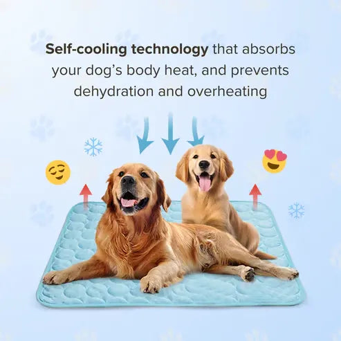 🔥🔥Hot Sale 🧊Dog Cooling Mat (4x more effective)