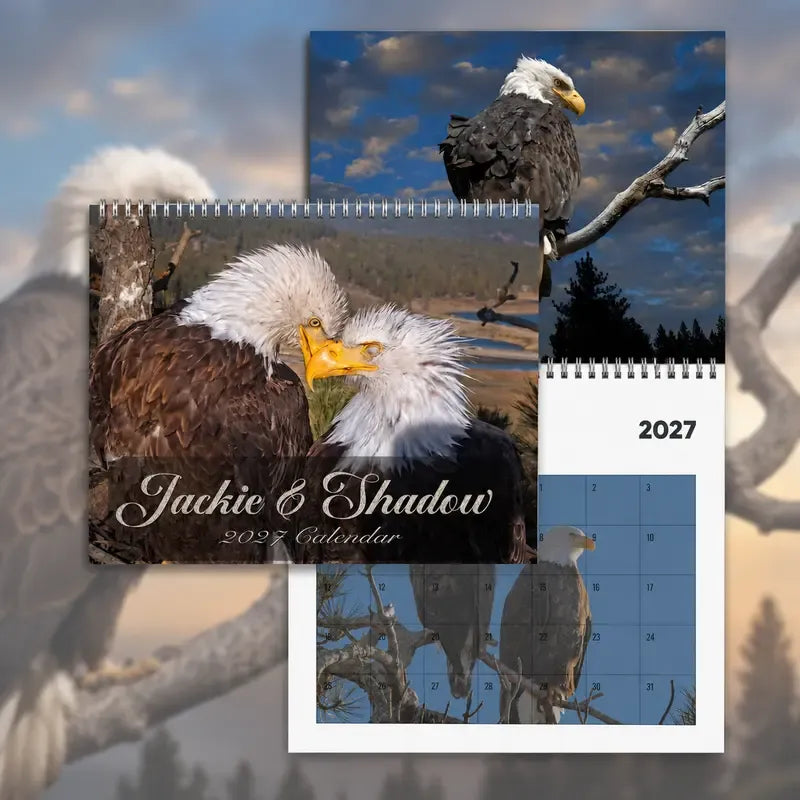 Jackie & Shadow 2027 Bald Eagle Wall Calendar
