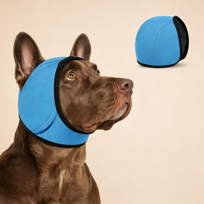 📢 BUY 1 GET 1 FREE – Waterproof Dog Hoodie 🐶 Cozy Coverage for Rainy Walks