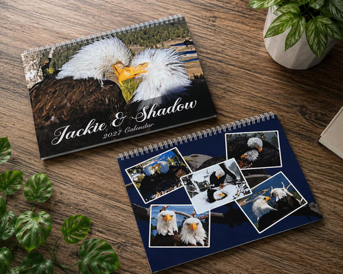 2027 Jackie & Shadow Soaring Eagles Wall Calendar 🦅 Stunning Wildlife Photography, 1-Count