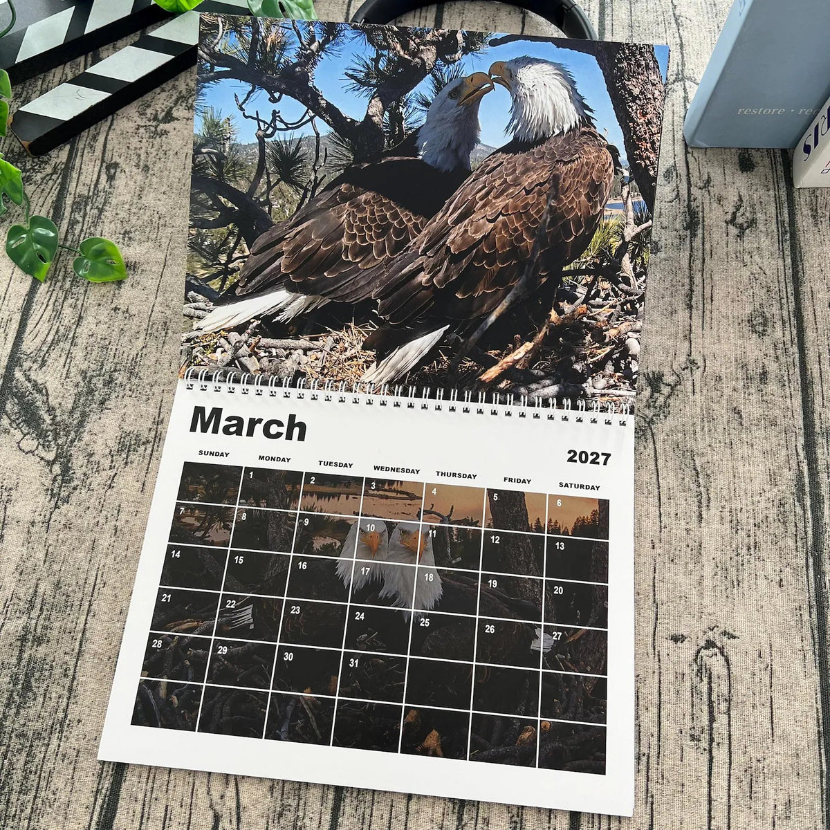 2027 Jackie & Shadow Soaring Eagles Wall Calendar 🦅 Stunning Wildlife Photography, 1-Count