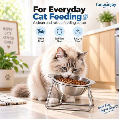 15° Tilted Orthopaedic Feeding Bowl🥣🐾