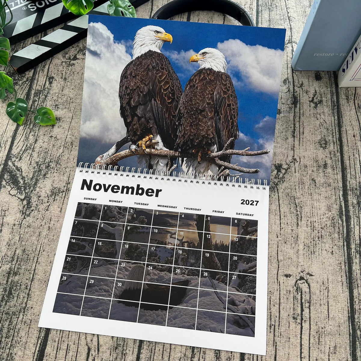 2027 Jackie & Shadow Soaring Eagles Wall Calendar 🦅 Stunning Wildlife Photography, 1-Count