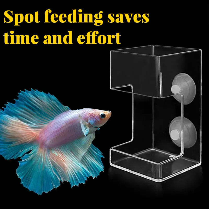 🐠 Round Aquarium Feeder – Clean, Hands-Free Feeding Without the Mess