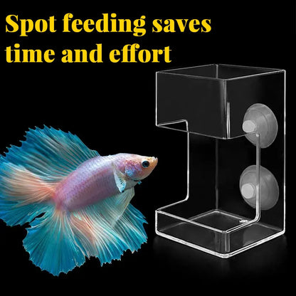🐠 Round Aquarium Feeder – Clean, Hands-Free Feeding Without the Mess