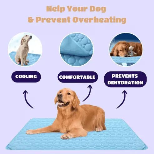 🔥🔥Hot Sale 🧊Dog Cooling Mat (4x more effective)