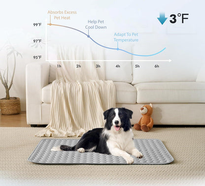 🐶 Cooling Mat for Dogs – Refreshing Pet Pad, Blue XS 40×30cm