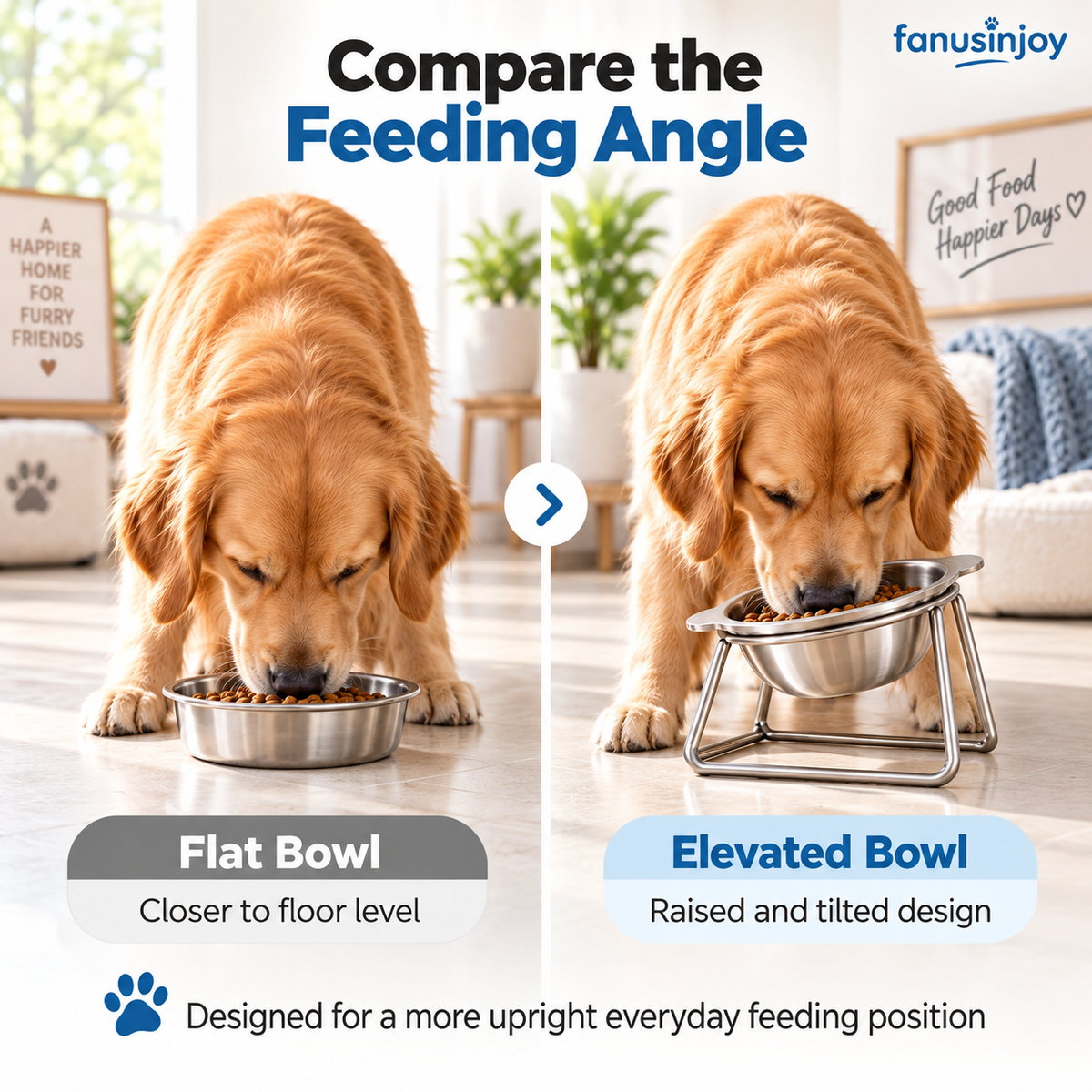 15° Tilted Orthopaedic Feeding Bowl🥣🐾