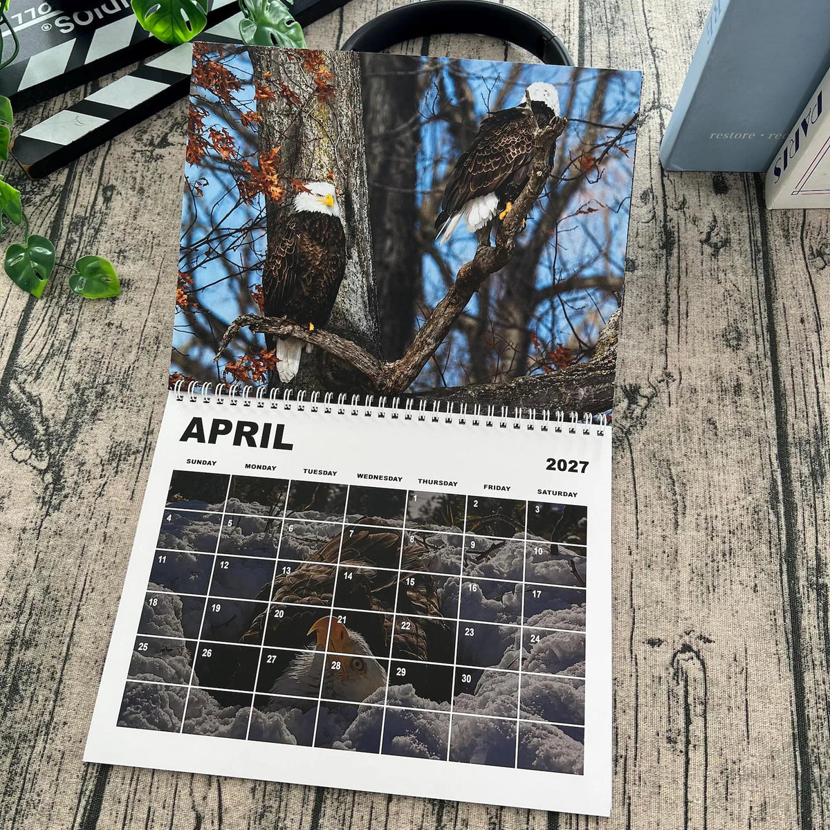 2027 Jackie & Shadow Soaring Eagles Wall Calendar 🦅 Stunning Wildlife Photography, 1-Count