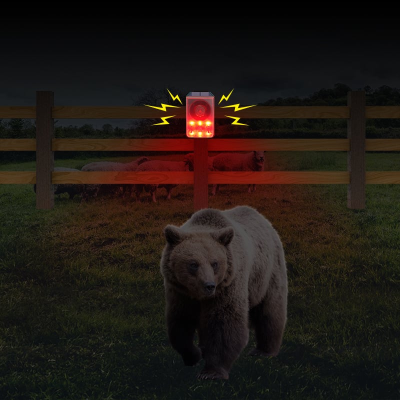 Solar-Powered Motion Sensor Alert 🚨 – Outdoor Security for Sheds, Garages & RVs