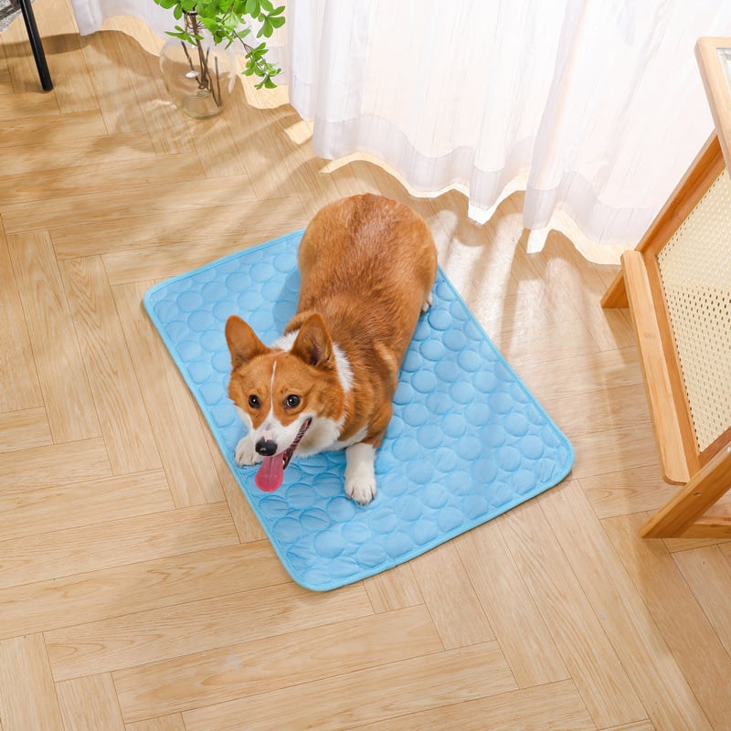 🐶 Cooling Mat for Dogs – Refreshing Pet Pad, Blue XS 40×30cm
