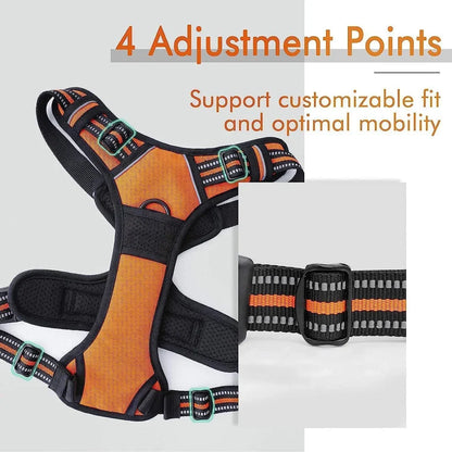 🐾 Vest-Style Pet Harness & Leash Set – Comfortable Everyday Walks