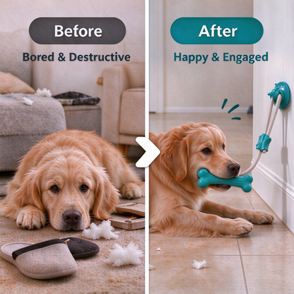 🐶 Suction Cup Dog Tug Toy – Interactive Chew & Teething Fun