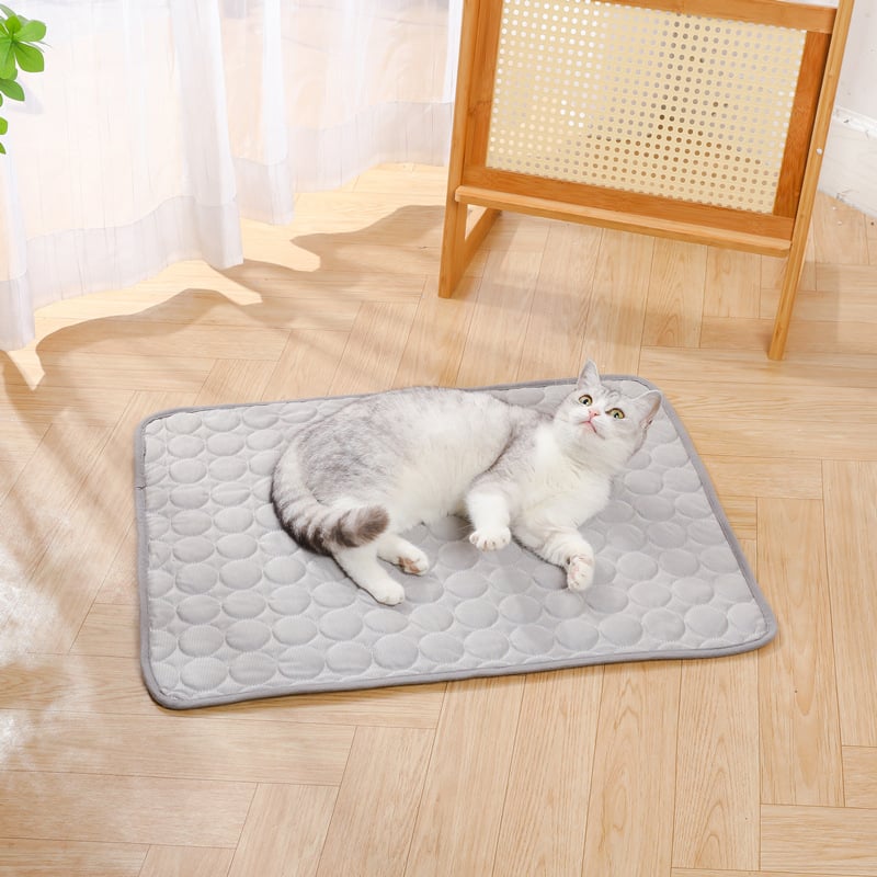 🐶 Cooling Mat for Dogs – Refreshing Pet Pad, Blue XS 40×30cm
