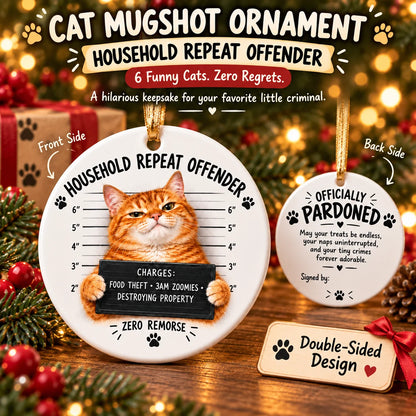 😼 Cat Mugshot Ornament Collection