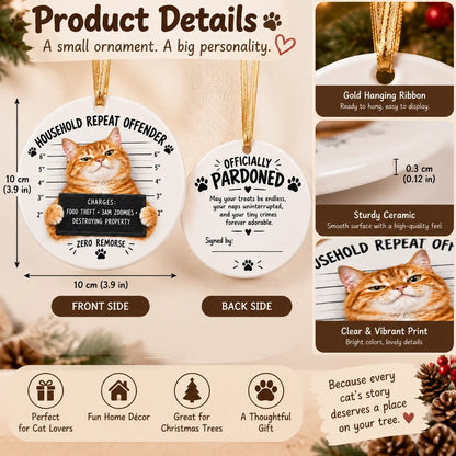 😼 Cat Mugshot Ornament Collection