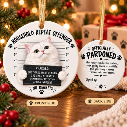 😼 Cat Mugshot Ornament Collection