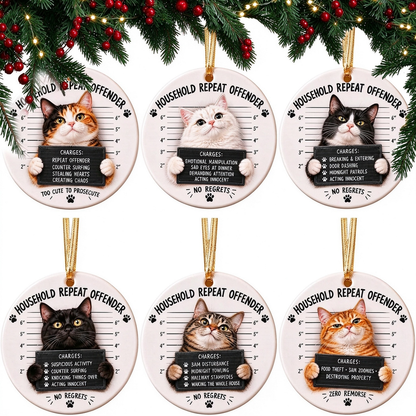 😼 Cat Mugshot Ornament Collection