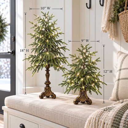 🎄Vintage Lighted Norfolk Pine Trees