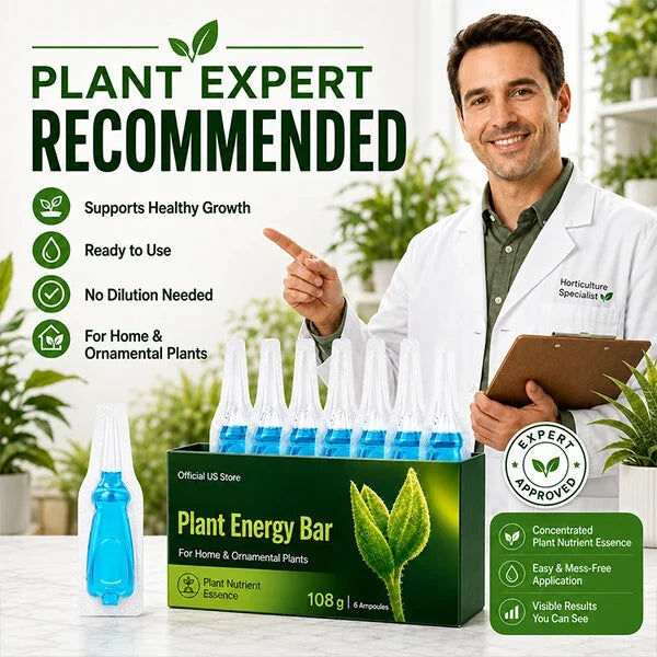 Official US Store  Plant Energy Bar