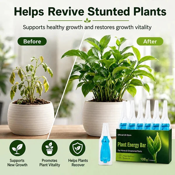 Official US Store  Plant Energy Bar