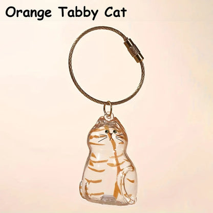 🐾Pet Hair Memorial Capsule Keychain
