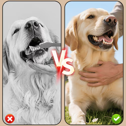 Pet Tartar Control Dental Freshen Spray