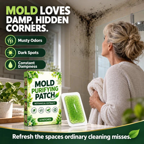 🧪6 Pcs Botanical Mold Removal Patches – Long-Lasting Damp Area Care