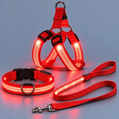 🐕 Rechargeable LED Dog Walking Kit ✨ Light-Up Harness, Collar & Leash for Safer Night Walks