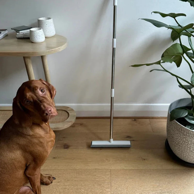 Rubber Bristle Broom for Pet Hair Removal