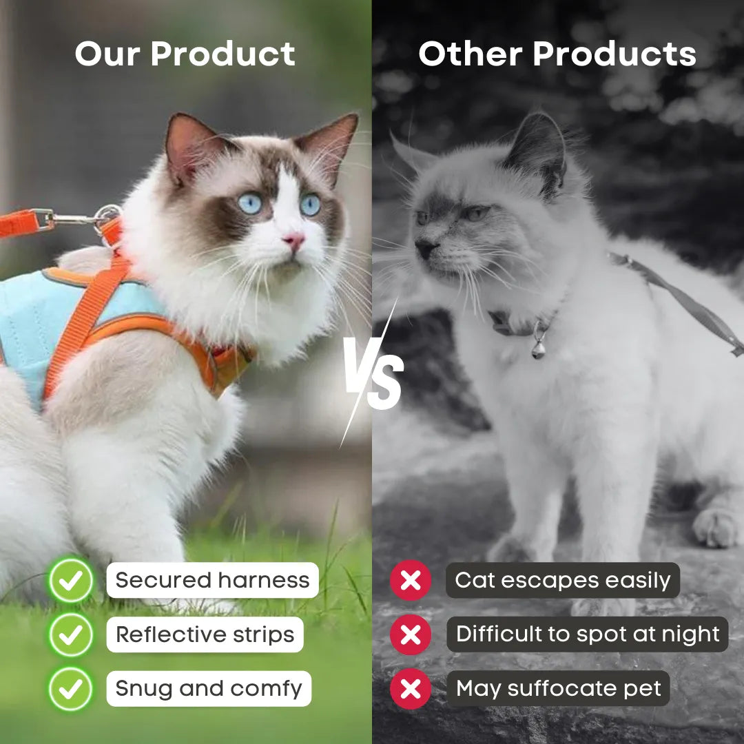 Cat Walking Harness & Leash 😺 – Lightweight Vest-Style Pet Set