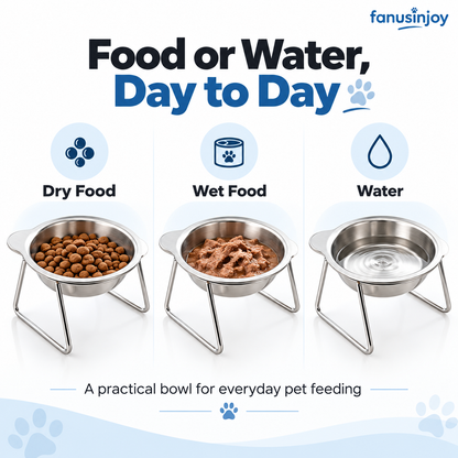 15° Tilted Orthopaedic Feeding Bowl🥣🐾