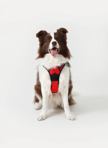 🐾 Vest-Style Pet Harness & Leash Set – Comfortable Everyday Walks