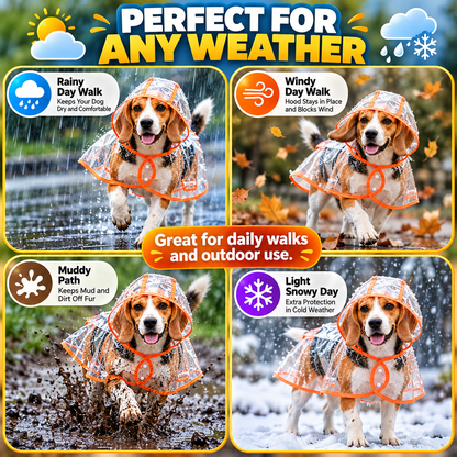 🐶 Pet Raincoat – Transparent Waterproof Dog Cape, Lightweight Protection for Small & Medium Dogs
