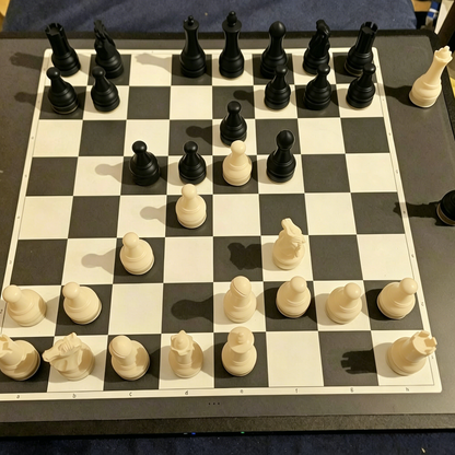 🎁250th Anniversary Special Edition Chess Set