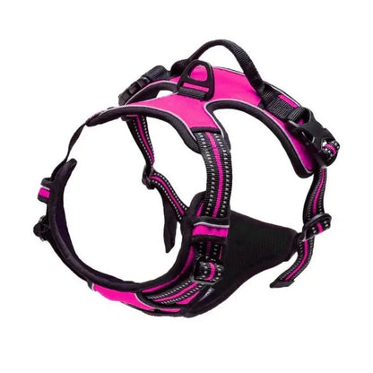 🐾 Vest-Style Pet Harness & Leash Set – Comfortable Everyday Walks