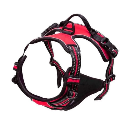 🐾 Vest-Style Pet Harness & Leash Set – Comfortable Everyday Walks