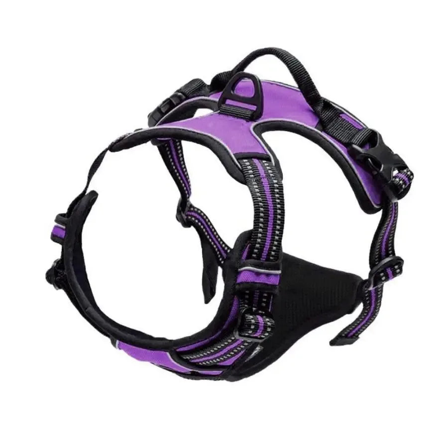 🐾 Vest-Style Pet Harness & Leash Set – Comfortable Everyday Walks