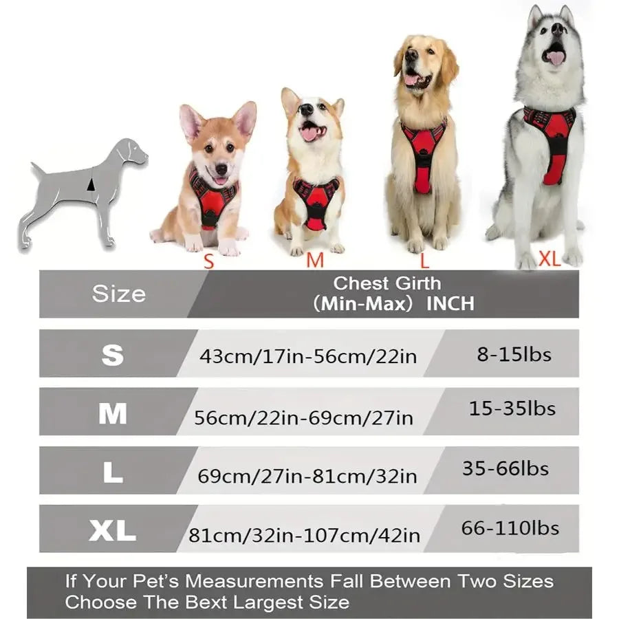 🐾 Vest-Style Pet Harness & Leash Set – Comfortable Everyday Walks