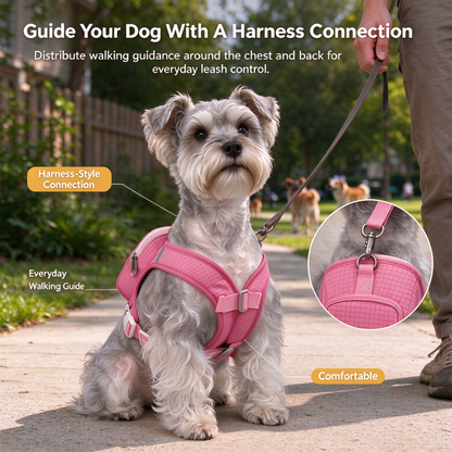 Walk-Ready Dog Harness & Leash Set 🐕 – All-in-One Everyday Pet Walking Gear