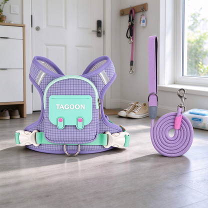 Walk-Ready Dog Harness & Leash Set 🐕 – All-in-One Everyday Pet Walking Gear