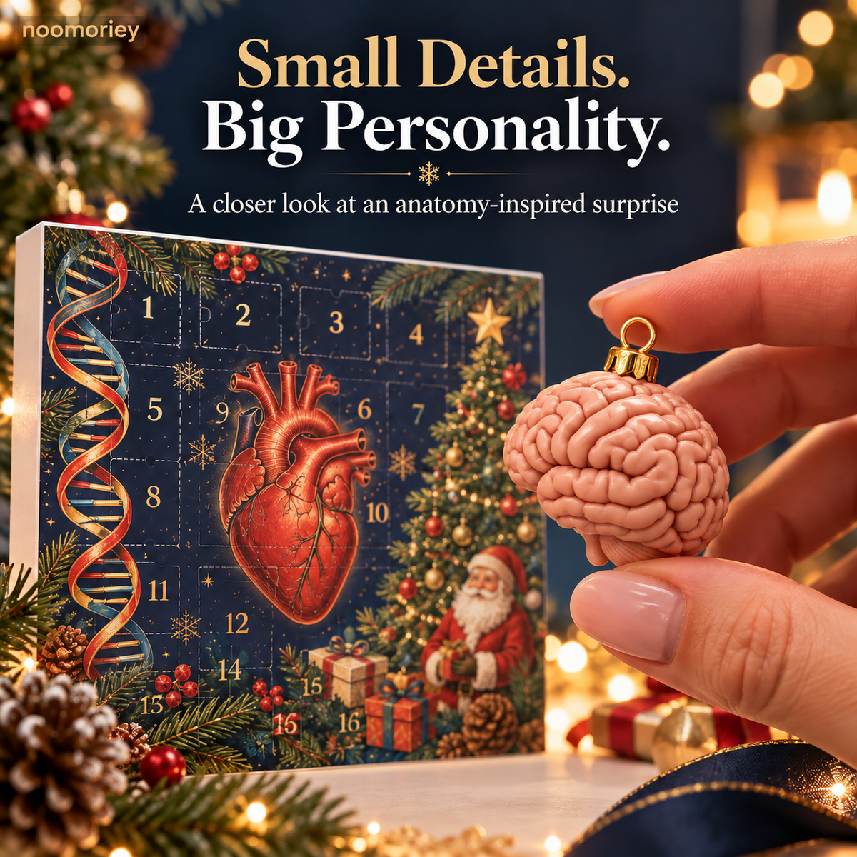 🎄 Anatomy Christmas Advent Calendar – Unique Organ-Shaped Ornaments & Holiday Surprises for Nurses, Medical Students & Science Lovers ！！！🎁