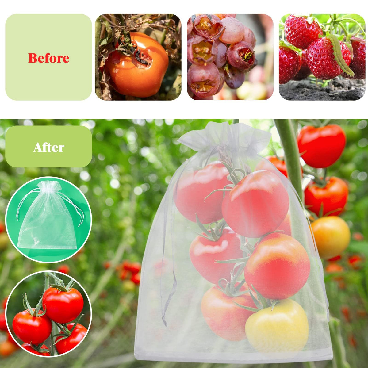🔥Fruit Protection Sleeves 🍎 White Garden Produce Covers, 4 x 6 in, 50-Pack