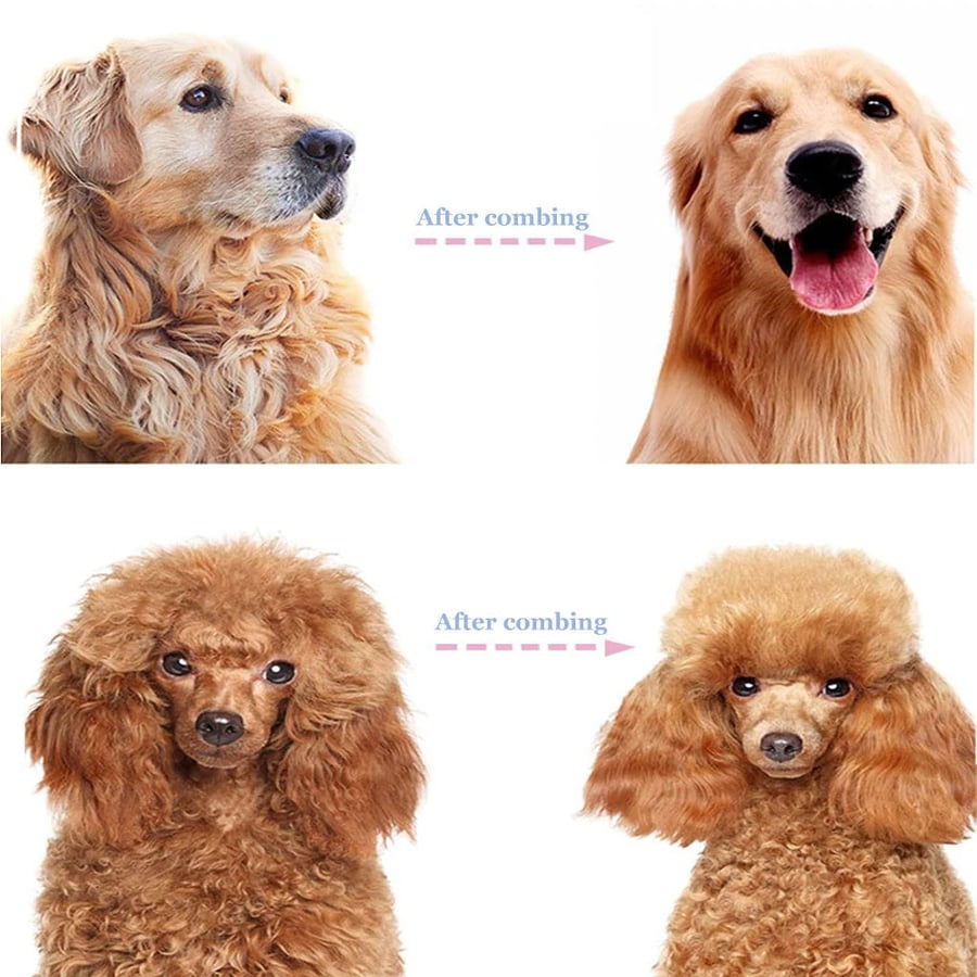 🐾 Professional Deshedding Tool for Dogs & Cats – Gentle Grooming for Loose Fur