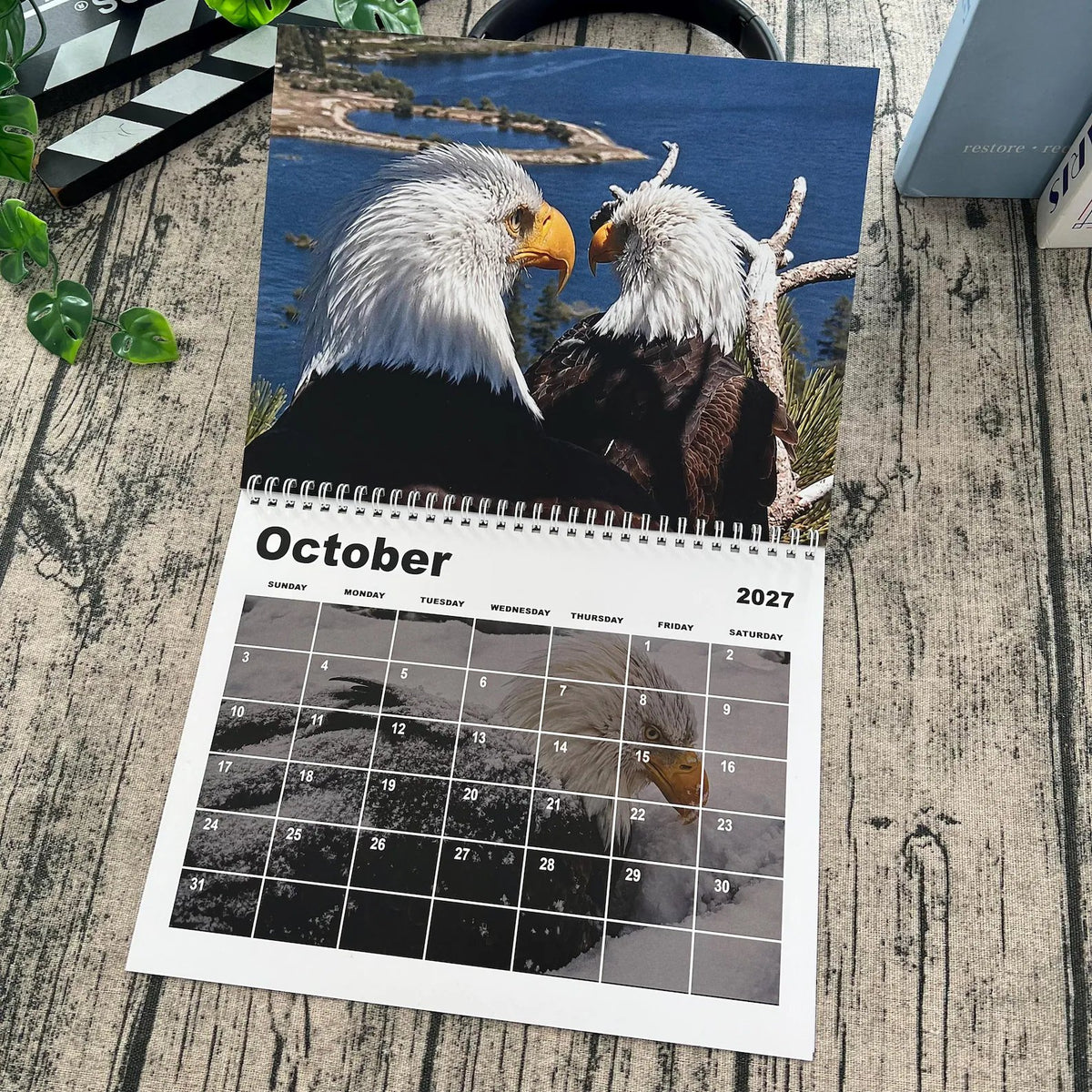 2027 Jackie & Shadow Soaring Eagles Wall Calendar 🦅 Stunning Wildlife Photography, 1-Count